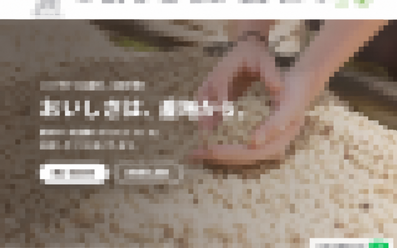 珈琲豆販売のECサイト構築